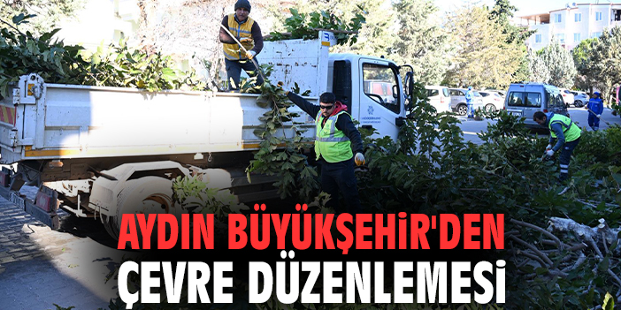 Aydın Büyükşehir'den çevre düzenlemesi