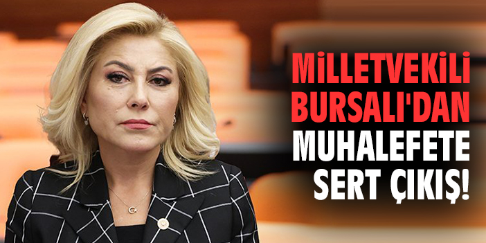 Milletvekili Bursalı'dan muhalefete sert çıkış!