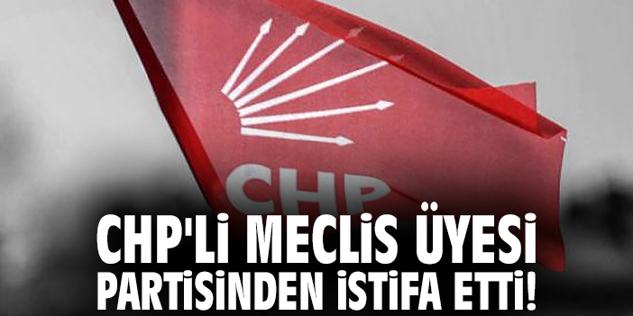 CHP'li Meclis üyesi partisinden istifa etti!