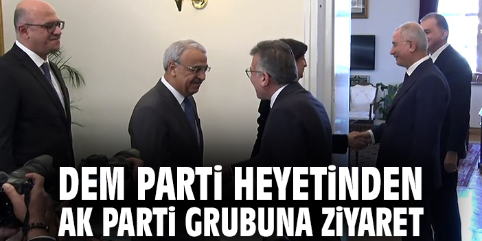DEM Parti heyetinden AK Parti grubuna ziyaret