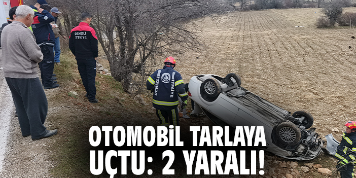 Otomobil tarlaya uçtu: 2 yaralı!
