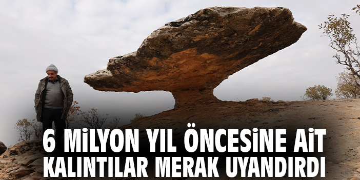 6 milyon yıl öncesine ait kalıntılar merak uyandırdı