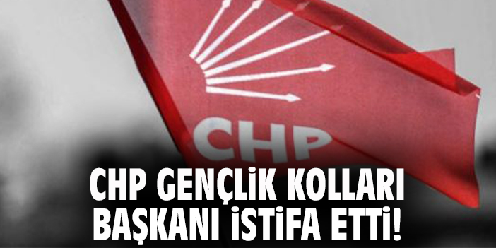 CHP gençlik kolları başkanı istifa etti!