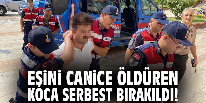 Eşini canice öldüren koca serbest bırakıldı!