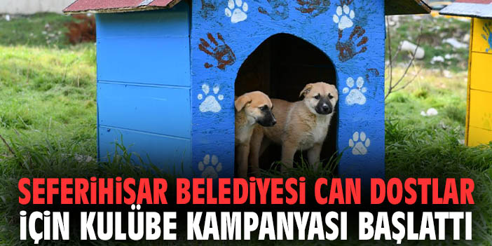 Seferihisar Belediyesi can dostları için kulübe kampanyası başlattı