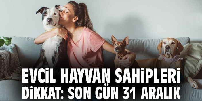 Evcil hayvan sahipleri dikkat: Son gün 31 Aralık