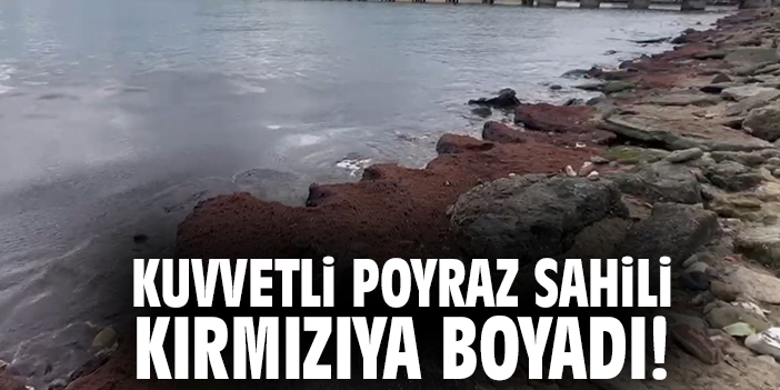 Kuvvetli Poyraz Sahili Kırmızıya Boyadı!