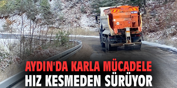Aydın'da karla mücadele hız kesmeden sürüyor