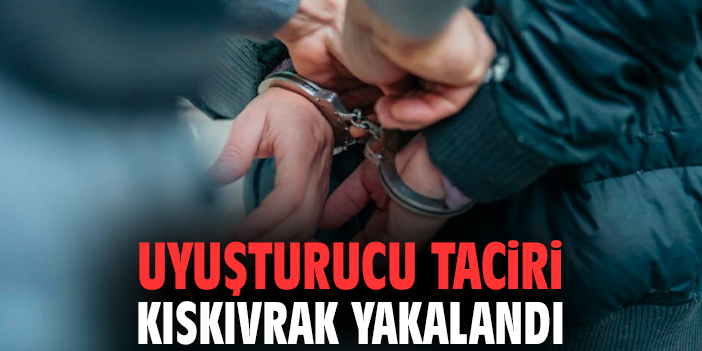 Uyuşturucu taciri kıskıvrak yakalandı