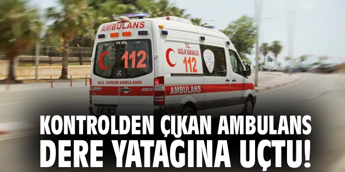 Kontrolden Çıkan Ambulans Dereye Yatağına Uçtu