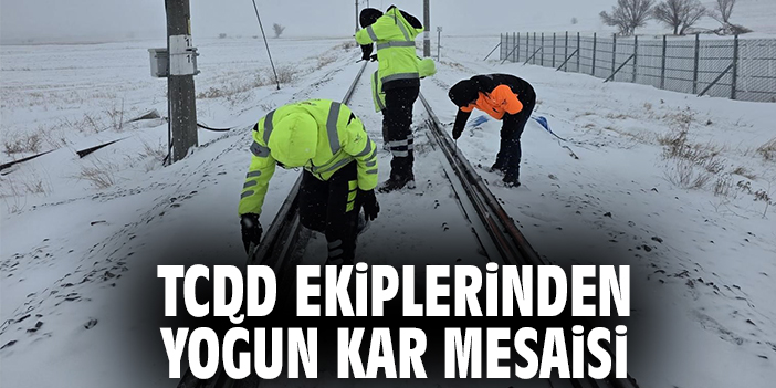 TCDD ekiplerinden yoğun kar mesaisi