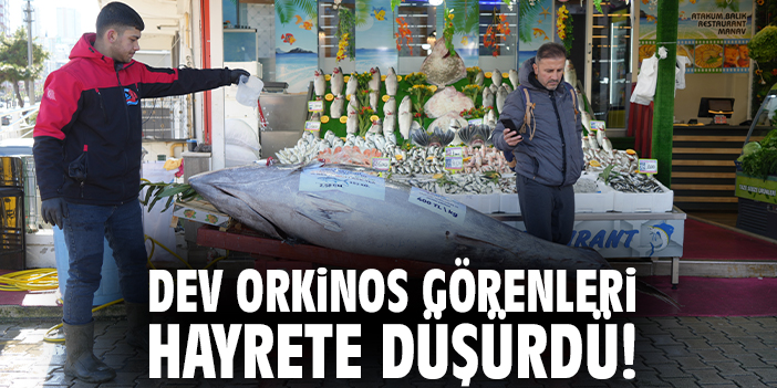 Dev Orkinos Görenleri Hayrete Düşürdü