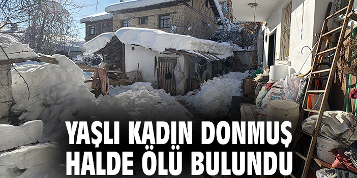 Yaşlı kadın donmuş halde ölü bulundu