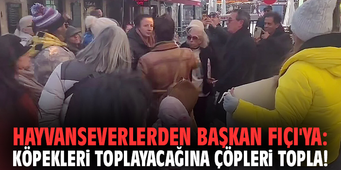 Hayvanseverlerden Başkan Fıçı'ya: Köpekleri toplayacağına çöpleri topla!