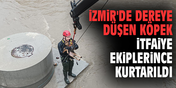 İzmir'de dereye düşen köpek itfaiye ekiplerince kurtarıldı