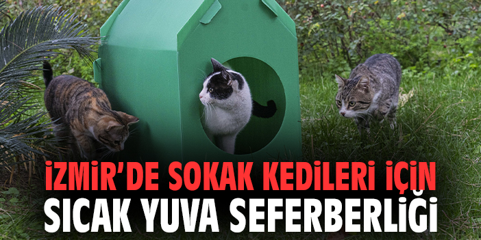 İzmir’de Sokak Kedileri İçin Sıcak Yuva Seferberliği