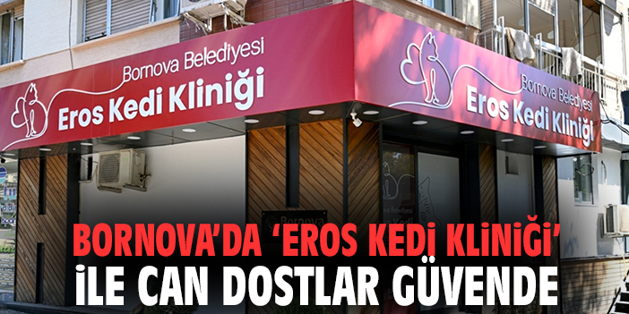 Bornova’da 'Eros Kedi Kliniği' ile Can Dostlar Güvende