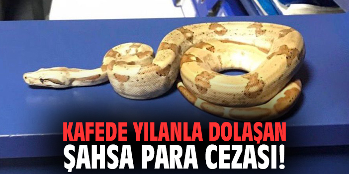 Kafede Yılanla Dolaşan Şahsa Para Cezası