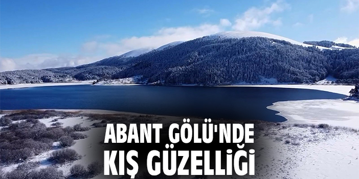 Abant Gölü'nde kış güzelliği
