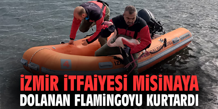 İzmir İtfaiyesi misinaya dolanan flamingoyu kurtardı