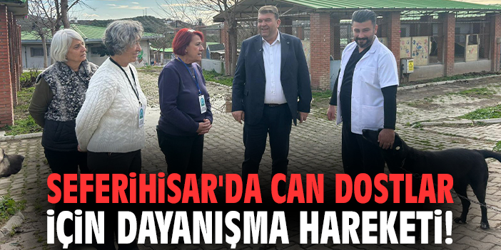 Seferihisar'da can dostlar için dayanışma hareketi!