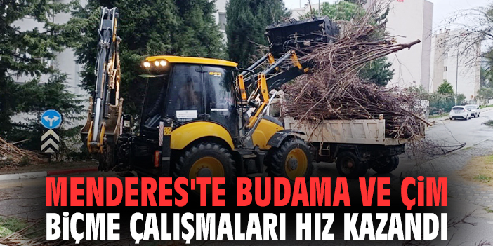 Menderes Belediyesi budama ve çim biçme çalışmalarını hızlandırdı