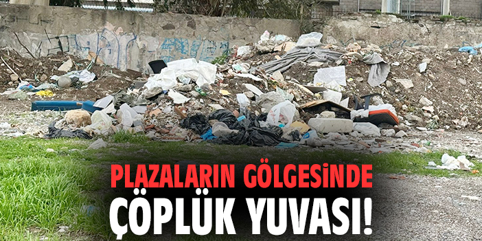 Plazaların gölgesinde çöplük yuvası!