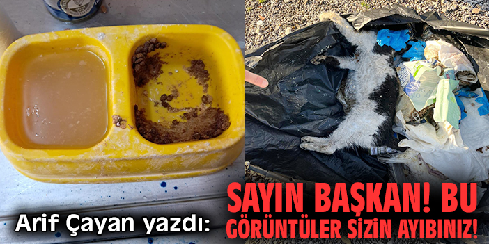 Sayın Başkan! Bu görüntüler sizin ayıbınız!