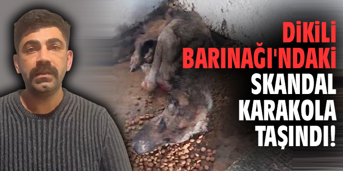 Dikili Barınağı'ndaki skandal karakola taşındı!