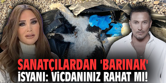Ünlü Sanatçılardan 'barınak' isyanı: Vicdanınız rahat mı!
