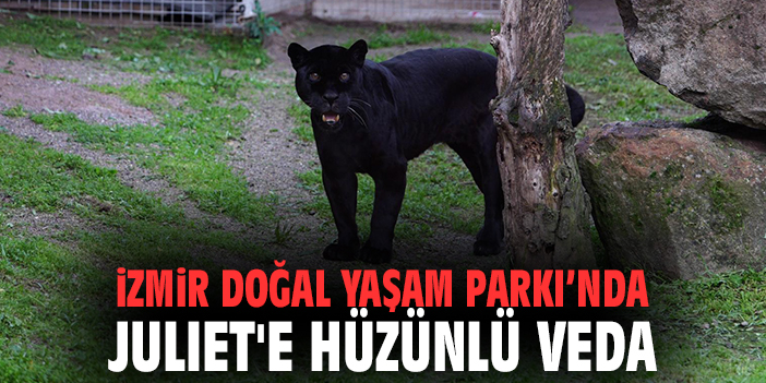 İzmir Doğal Yaşam Parkı’nda Juliet'e Hüzünlü Veda