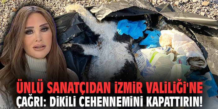 Ünlü sanatçıdan İzmir Valiliği'ne çağrı: Dikili cehennemini kapattırın!