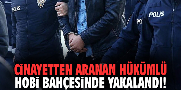 Cinayetten Aranan Hükümlü Hobi Bahçesinde Yakalandı