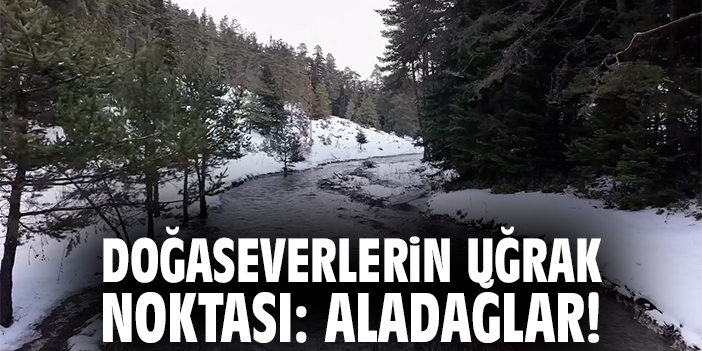 Doğaseverlerin uğrak noktası: Aladağlar!