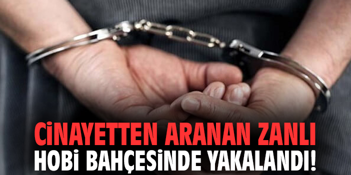 Cinayetten aranan zanlı hobi bahçesinde yakalandı!