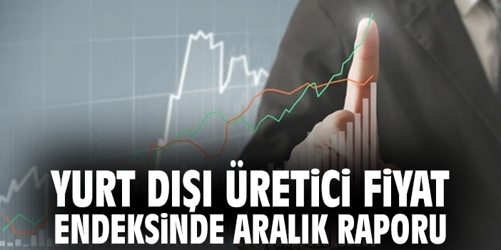Yurt Dışı Üretici Fiyat Endeksi Aralık Raporu