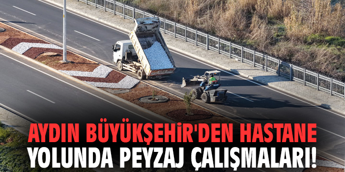 Aydın Büyükşehir'den hastane yolunda peyzaj çalışmaları!