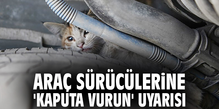 Araç sürücülerine 'Kaputa vurun' uyarısı