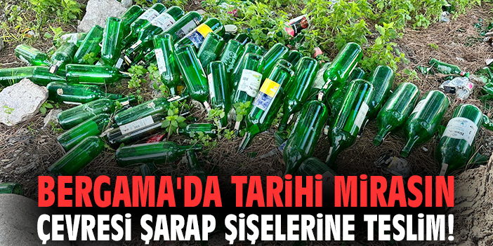 Bergama'da tarihi mirasın çevresi şarap şişelerine teslim!