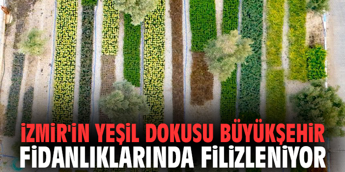 İzmir'in yeşil dokusu Büyükşehir fidanlıklarında filizleniyor