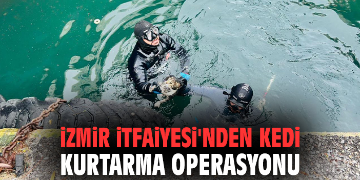 İzmir İtfaiyesi'nden Kedi Kurtarma Operasyonu