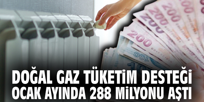Doğal Gaz Tüketim Desteği Ocak ayında 288 milyonu aştı