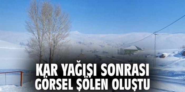Kar Yağışı Sonrası Görsel Şölen Oluştu
