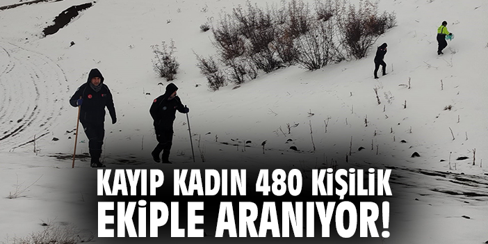 Kayıp Kadın 480 Kişilik Ekiple Aranıyor