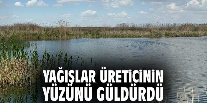Yağışlar üreticinin yüzünü güldürdü