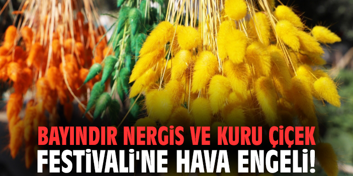 Bayındır Nergis ve Kuru Çiçek Festivali'ne hava engeli!