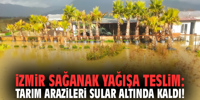 İzmir sağanak yağışa teslim: Tarım arazileri sular altında kaldı!
