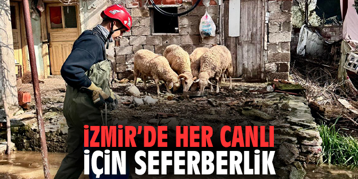 İzmir’de her canlı için seferberlik