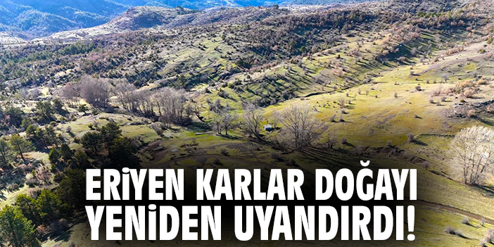 Eriyen karlar doğayı yeniden uyandırdı