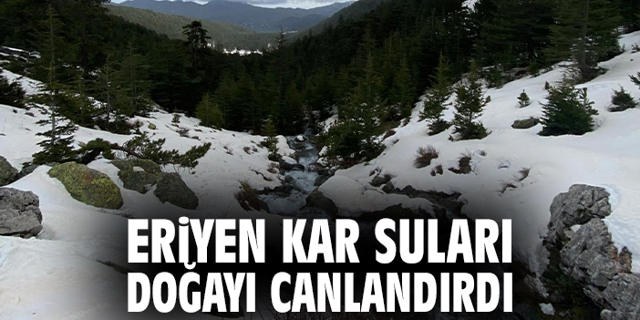 Eriyen Kar Suları Doğayı Canlandırdı